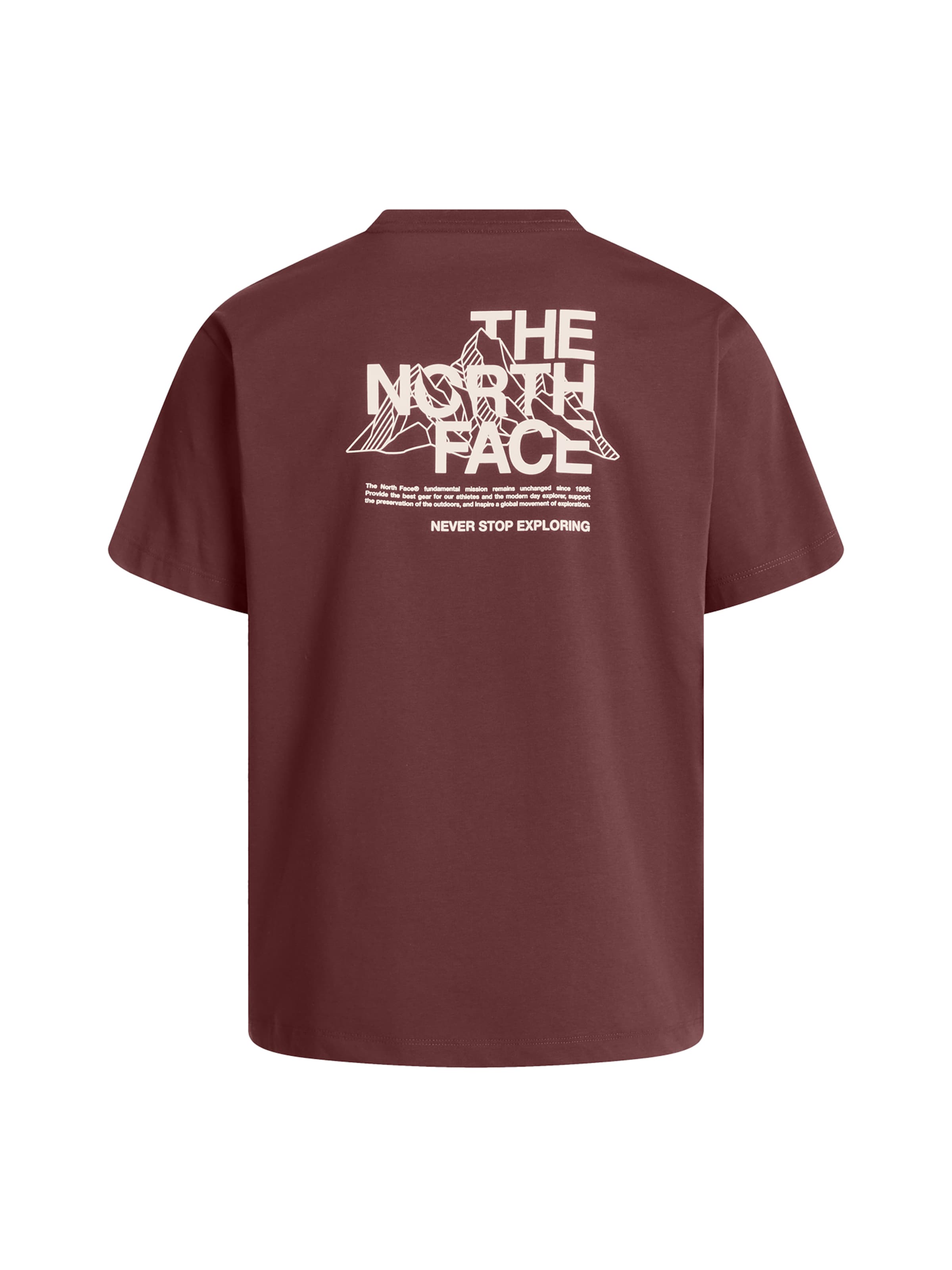THE NORTH FACE Μπλουζάκι 'Mountain Sketch' σε καφέ