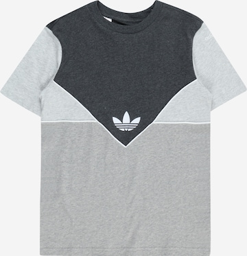 ADIDAS ORIGINALS T-Shirt 'Adicolor' in Grau: predná strana