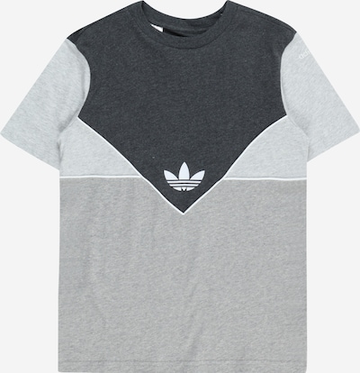 ADIDAS ORIGINALS Shirts 'Adicolor' i grå / antracit / grå-meleret / hvid, Produktvisning