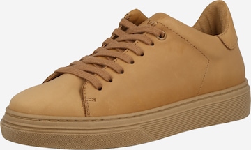 Baskets basses Steven New York en beige : devant