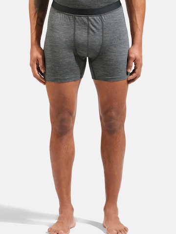 ODLO Sports underpants in Grey