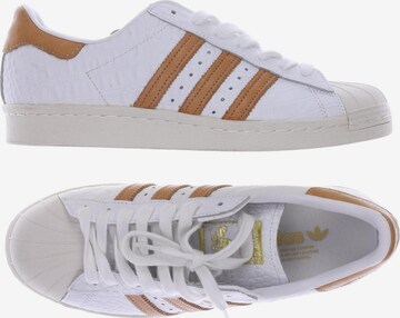 ADIDAS ORIGINALS Sneakers & Trainers in 42 in White: front