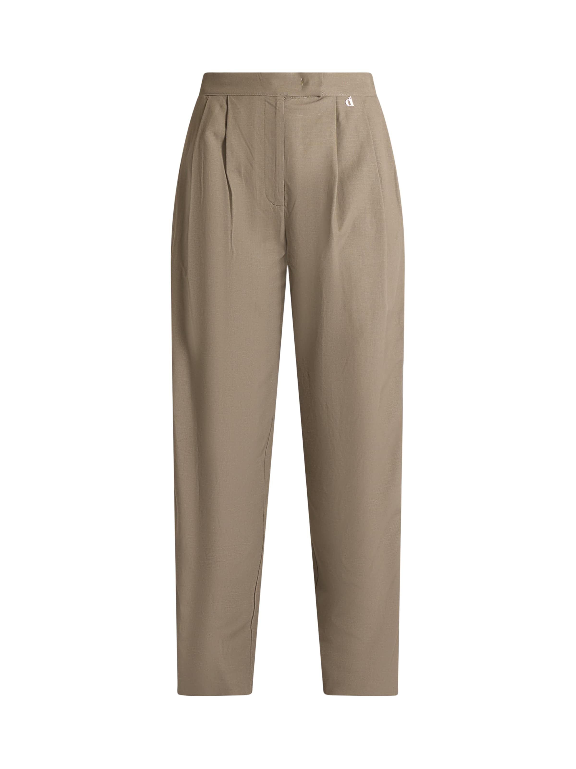 Dixie Loose fit Pleat-Front Pants in Beige: front
