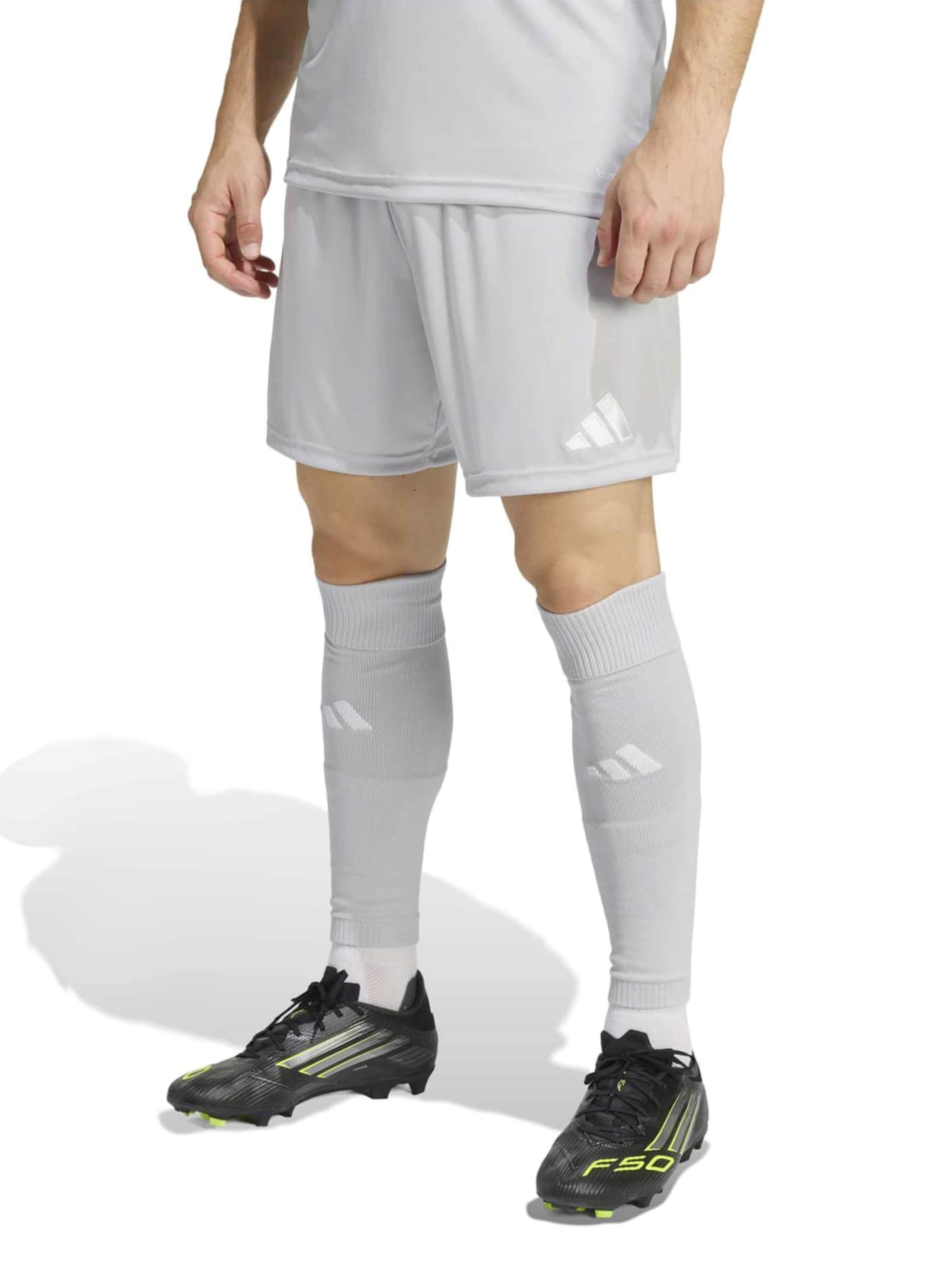 ADIDAS PERFORMANCE - regular Pantalón deportivo 'ENT26' en gris: frente