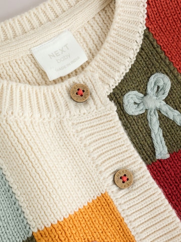 Next Gebreid vest in Gemengde kleuren