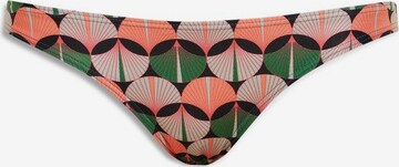 Superdry Bikini Bottoms in Mixed colors: front