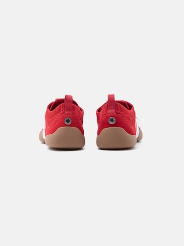 Sneaker bassa 'Biscotti-E' di STEVE MADDEN in rosso