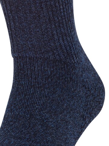 FALKE Socks 'Walkie Ergo' in Blue