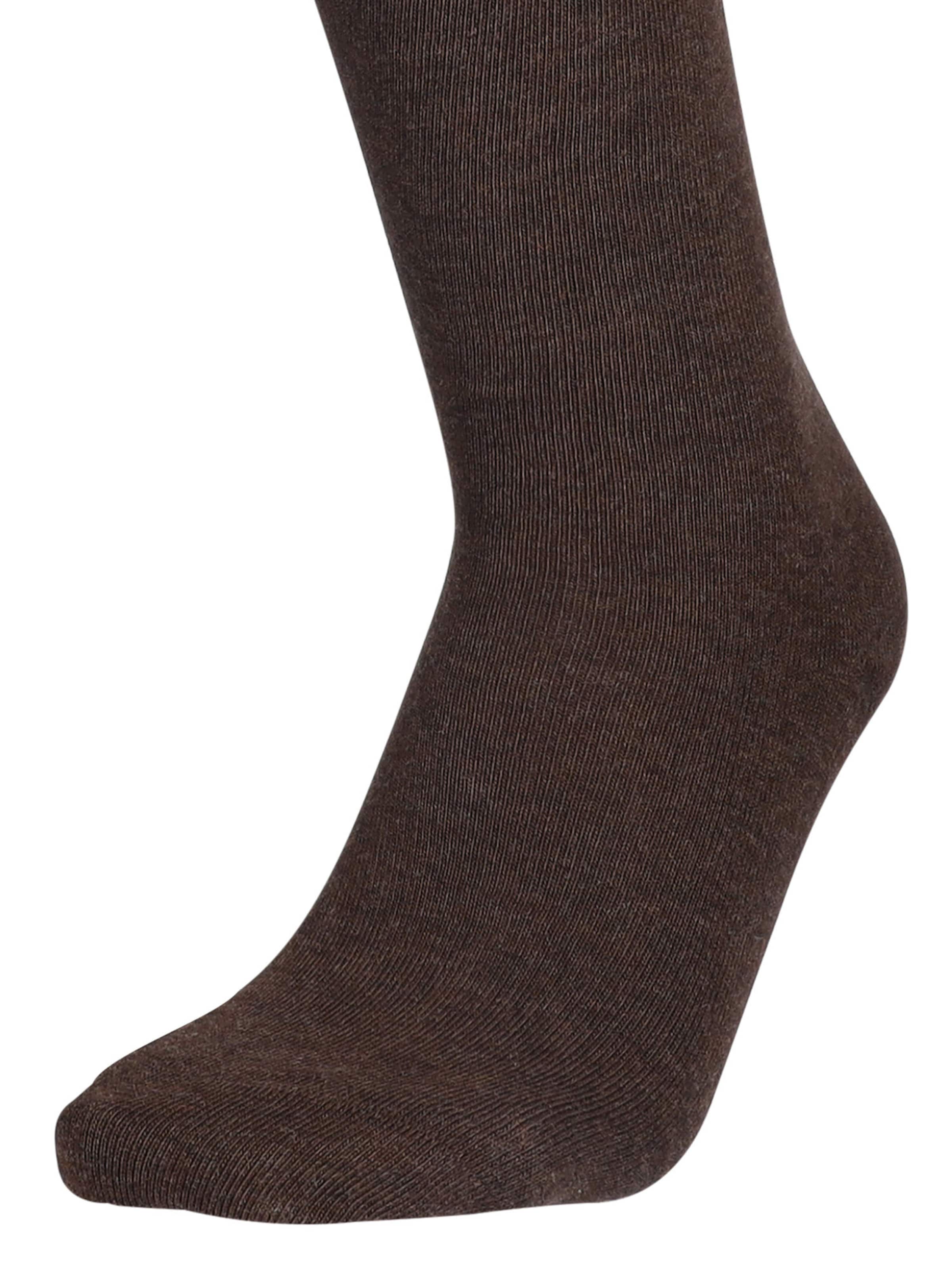 Chaussettes montantes Hudson en marron