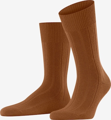 FALKE Socks 'Lhasa Rib' in Brown: front