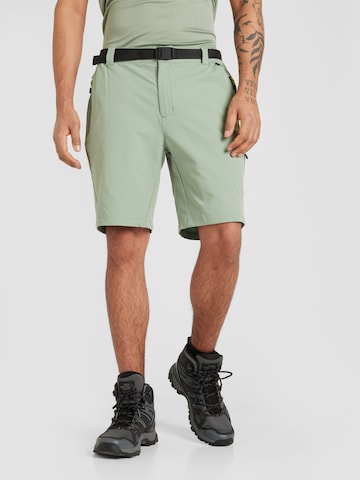 Regular Pantaloni outdoor 'Tuned In Pro' de la DARE2B pe verde: față