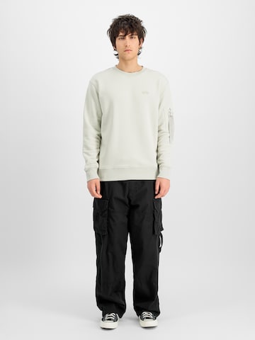 ALPHA INDUSTRIES Bluzka sportowa 'Dtm' w kolorze szary