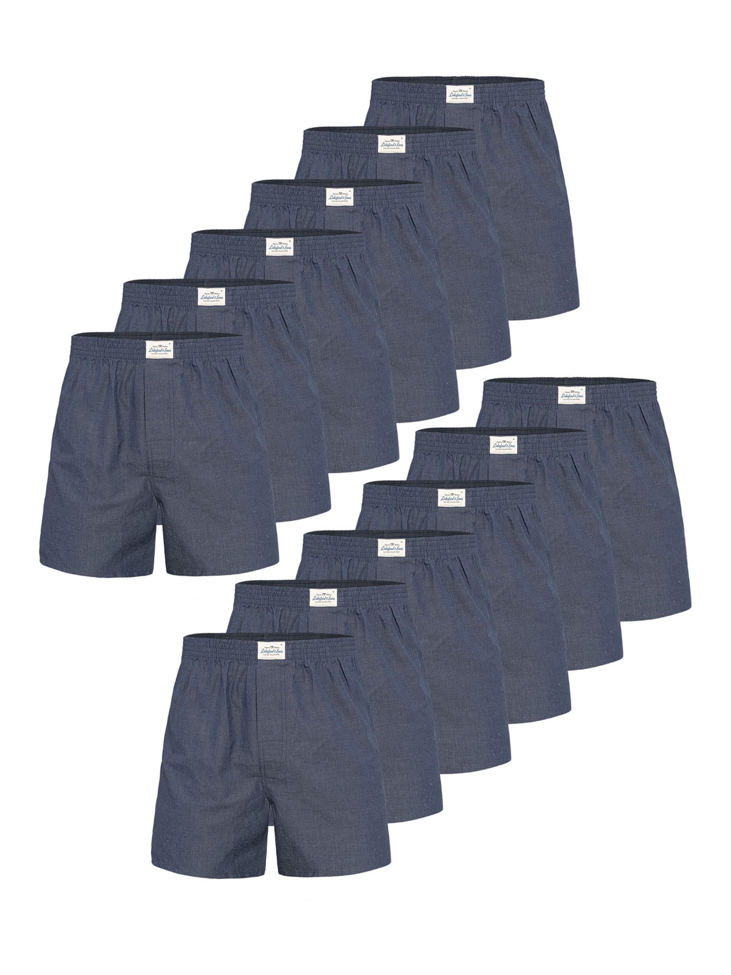 Lakeford & Sons Boxershorts in Blau: Vorderseite
