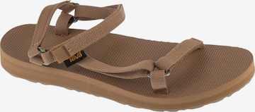 TEVA Sandale in Braun: Vorderseite