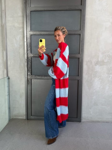 Kamila Šikl Strickjacke in Blau