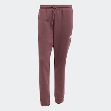 ADIDAS SPORTSWEAR Tapered Sporthose 'FEELCOZY' in Rot: Vorderseite