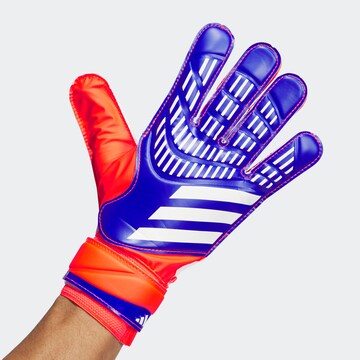 ADIDAS PERFORMANCE Sporthandschuhe 'Predator' in Orange