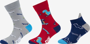 FUN Socks Socken (OCS) in Mischfarben: predná strana