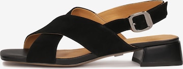 Kazar Sandal in Black: front