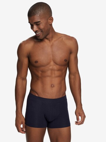 ESPRIT Boxer shorts in Blue: front