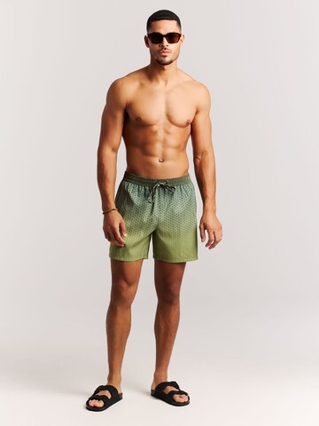 PROTEST Board Shorts 'PRTNorthaw' in Green: front