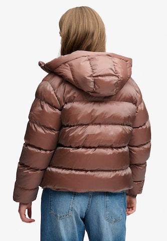 Superdry & Co Winterjas in Bruin