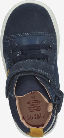 GEOX Sneaker in Blau