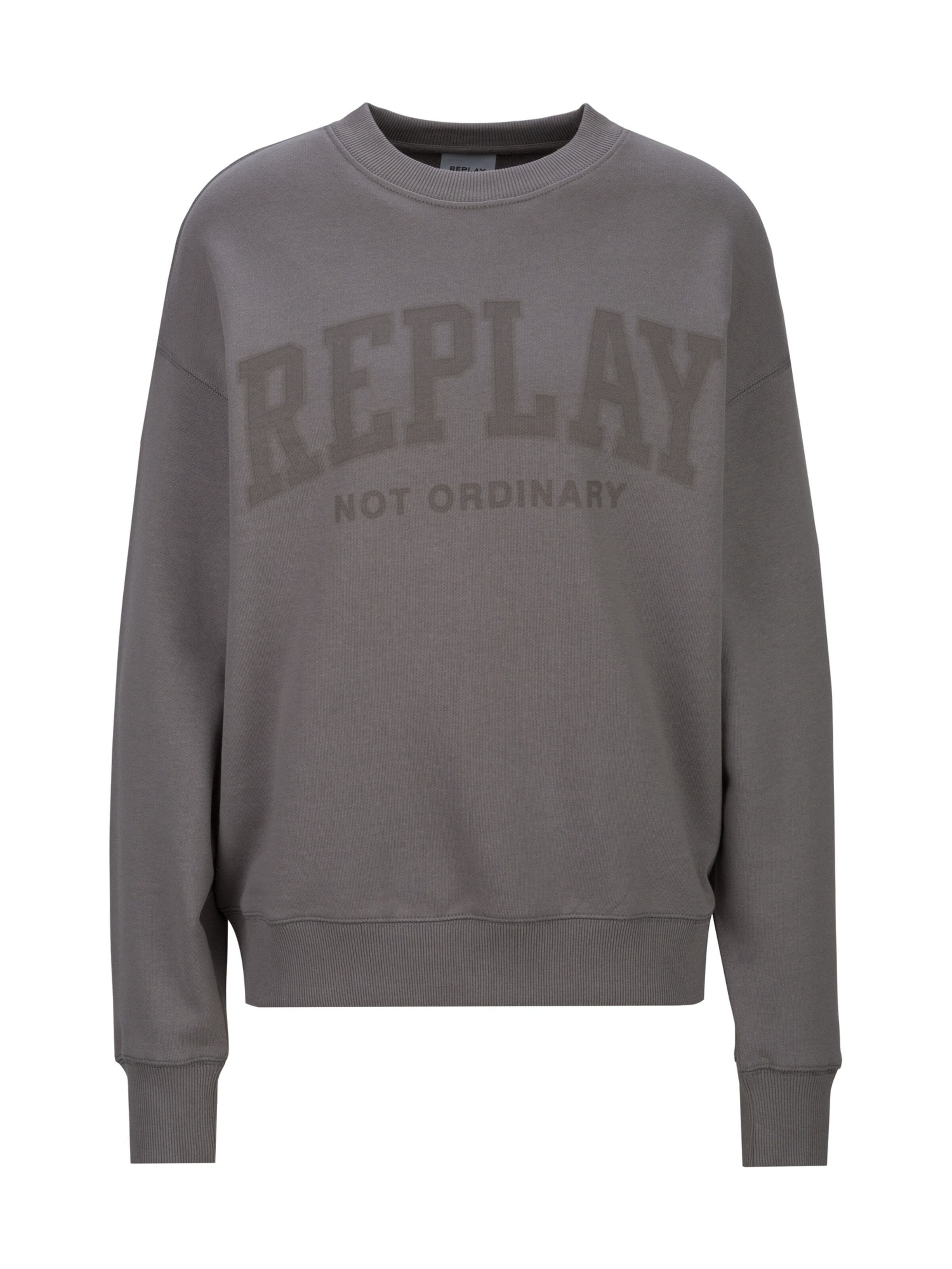 REPLAY Sweatshirt 'Big Not Ordinary' in Grau: Vorderseite