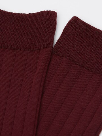 CALZEDONIA Socks in Red