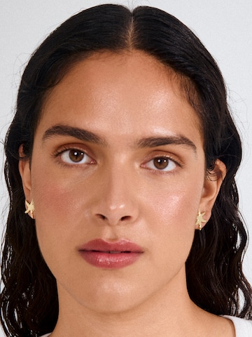 Pilgrim Øreringe ' Prism ' i guld: forside