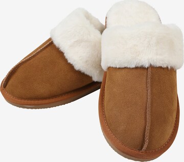 HotSquash Slipper in Brown