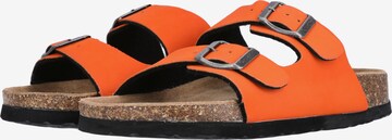 Cruz Sandale 'Whitehill' in Orange