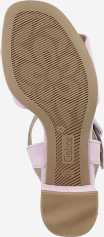 GABOR Sandals in Purple