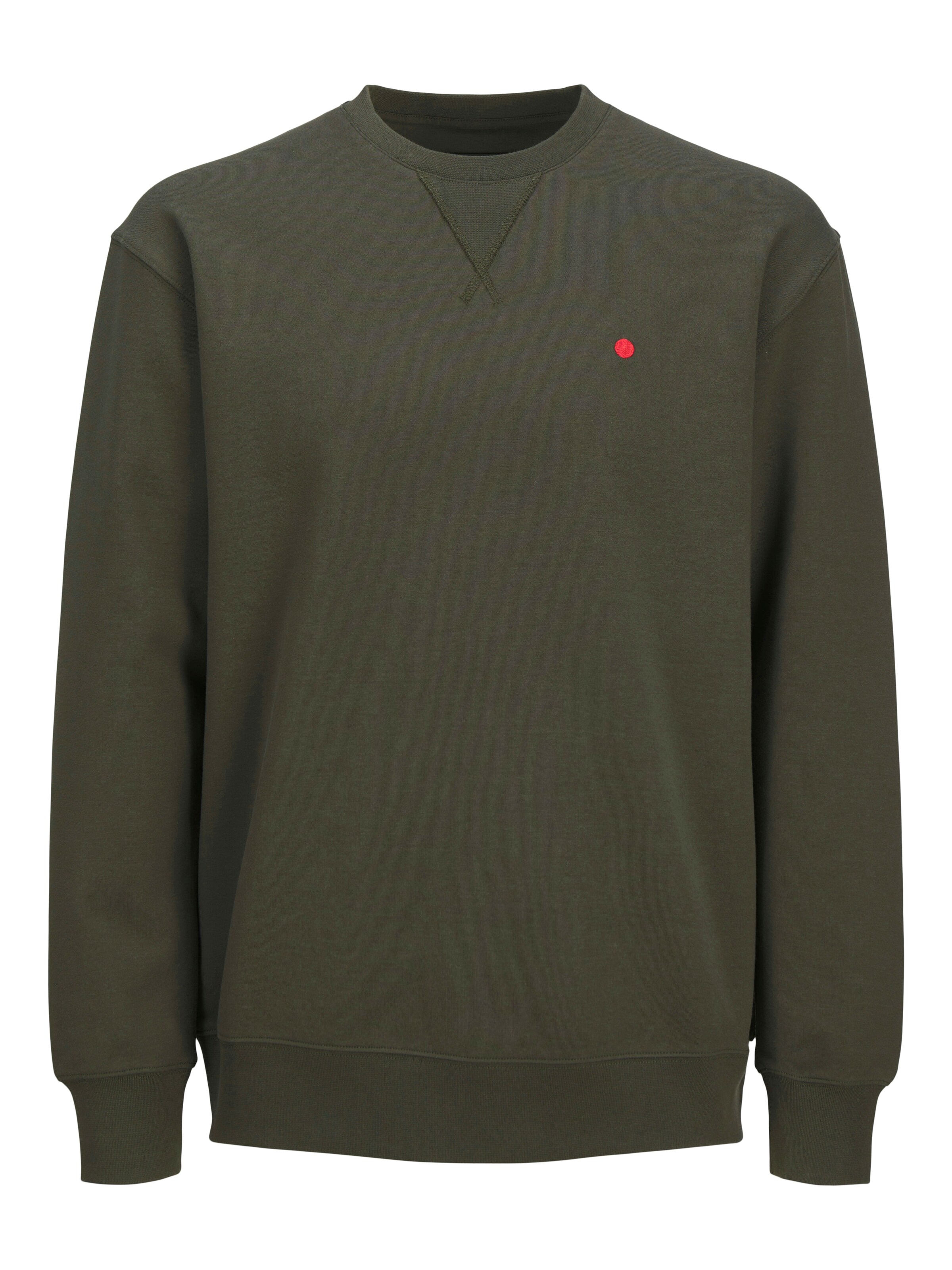 JACK & JONES Sweatshirt 'RDDScott' in Green: front