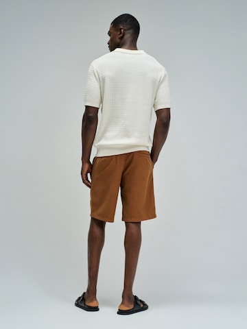 Salsa Jeans Regular Jeans in Brown