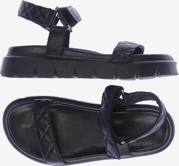 Apple of Eden Sandalen 38 in Schwarz: predná strana