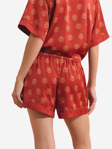 ETAM Shorty in Braun