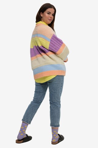 Studio Untold Pullover in Mischfarben