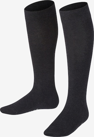 FALKE Socks 'Family' in Grey: front