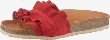 VERBENAS Mules in Red: front