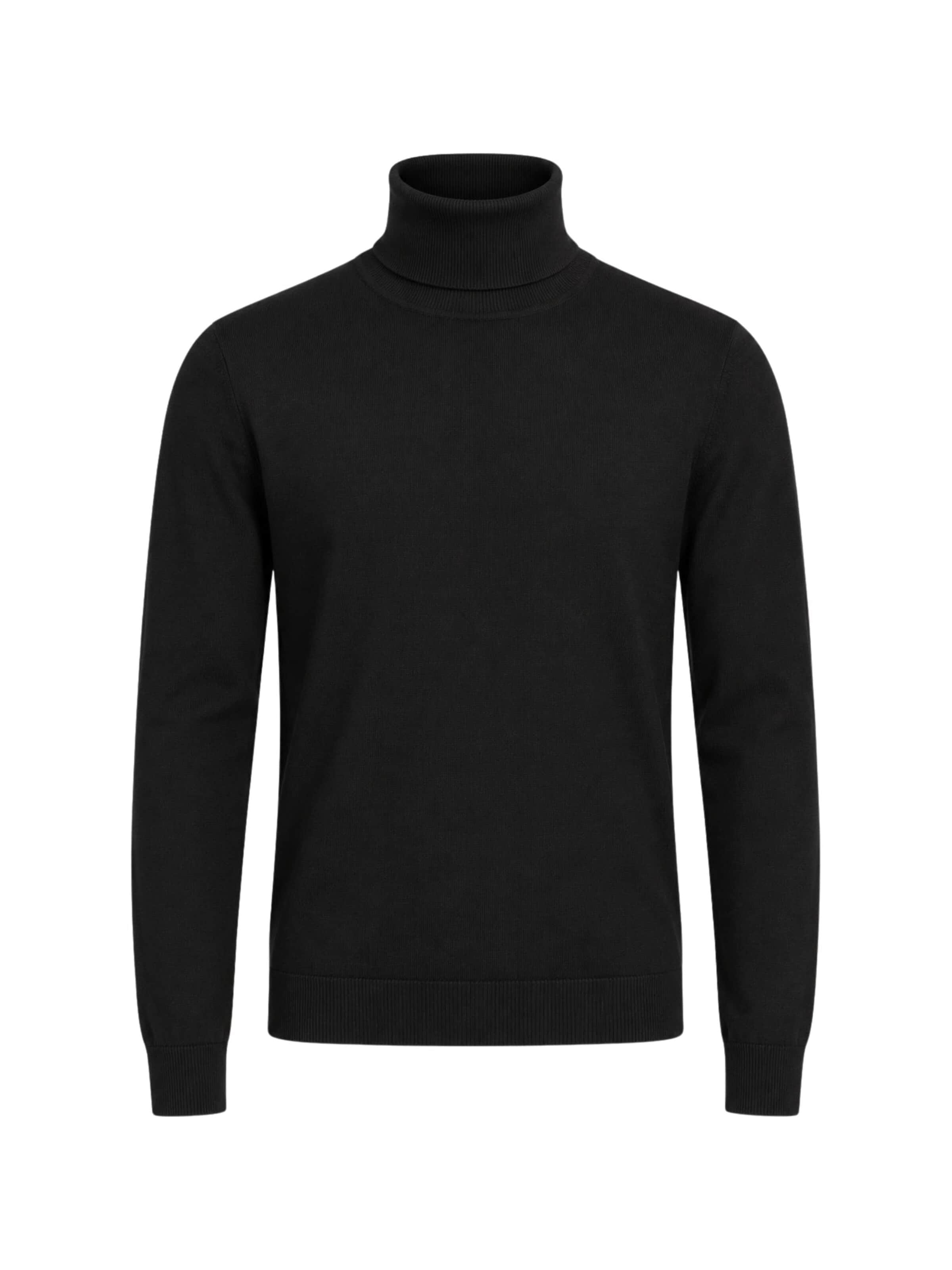 Paolo Pecora Milano Sweater 'Men's Extrafine Merino Wool Turtleneck Sweater' in Black: front