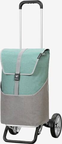 Cabas 'Alu Star Vigo ' Andersen Shopper en vert : devant