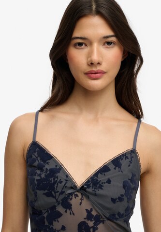 Superdry & Co Top in Blauw