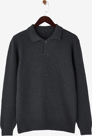 Trendyol Pullover in Grau: Vorderseite