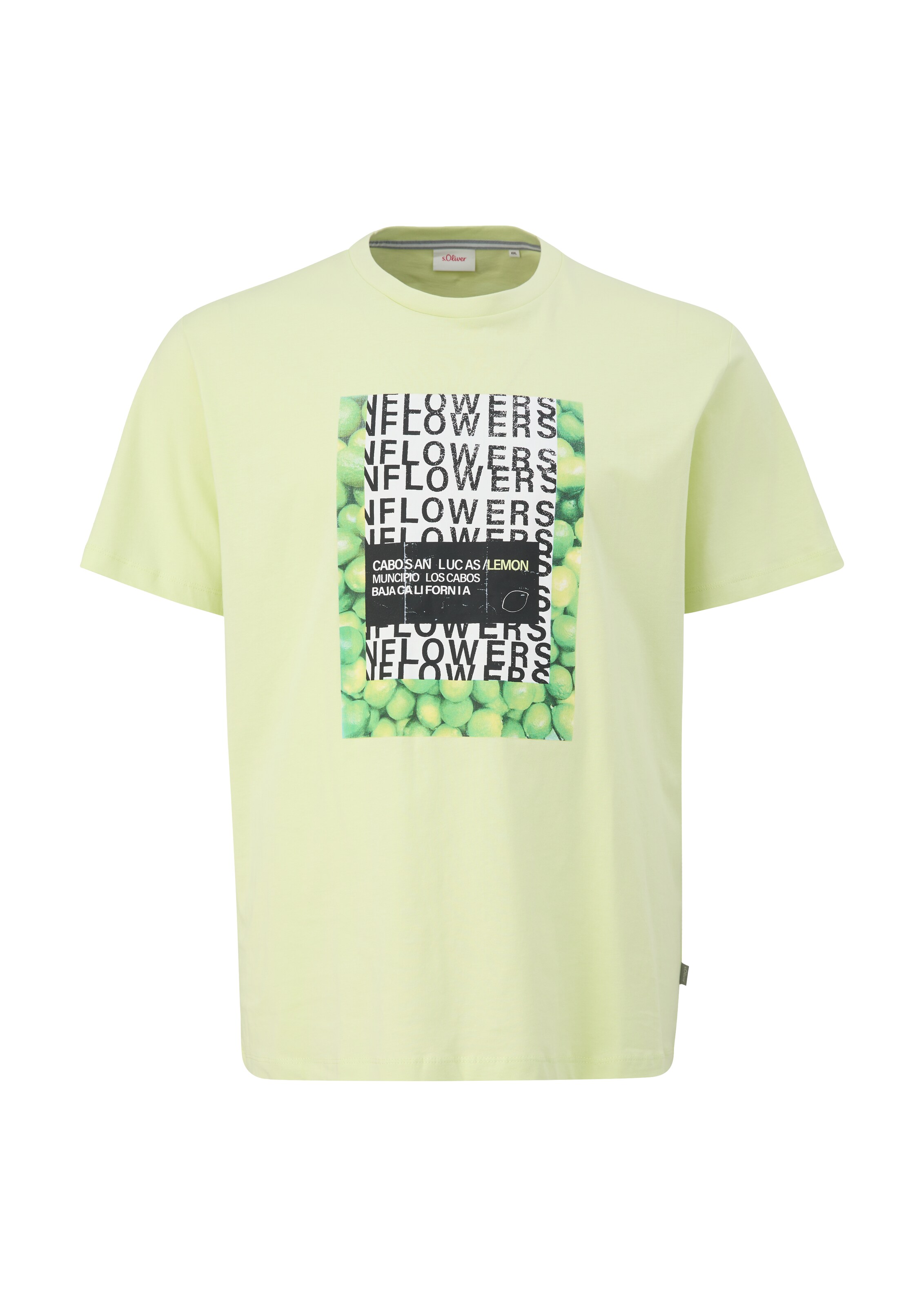 s.Oliver Men Big Sizes Shirt in Green: front