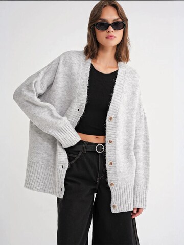 Giacchetta extra large di MixRay in grigio