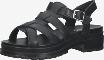 IGI&CO Strap Sandals in Black: front