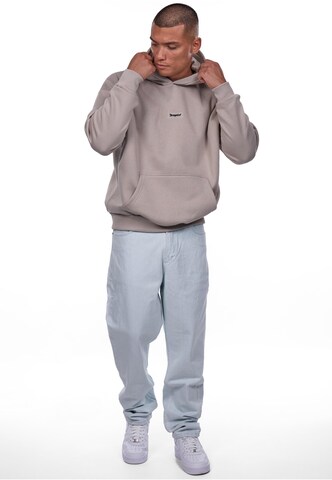 Felpa di Dropsize in grigio