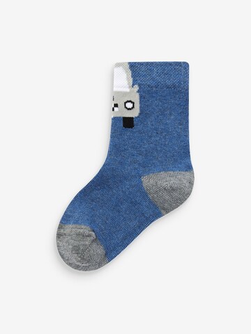 Chaussettes Next en bleu