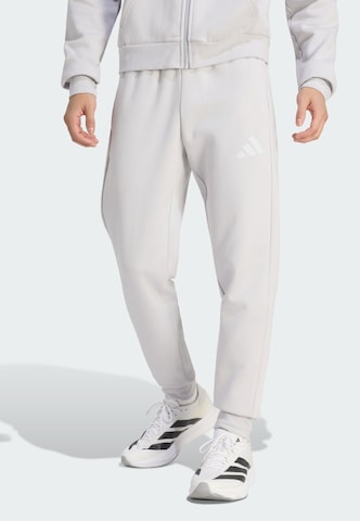 ADIDAS PERFORMANCE - Tapered Pantalón deportivo 'Entrada26' en gris: frente